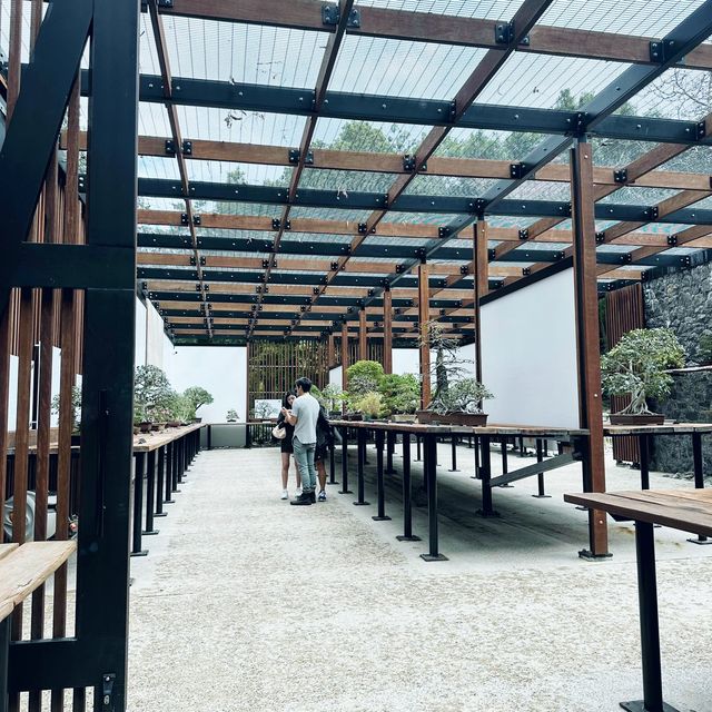 布里斯本植物園