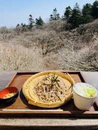 【長野県＆群馬県/しげの屋】名物・碓氷そば＆元祖力餅