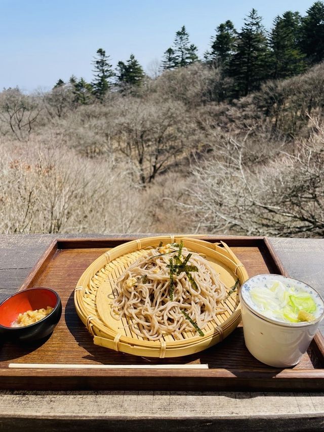 【長野県＆群馬県/しげの屋】名物・碓氷そば＆元祖力餅