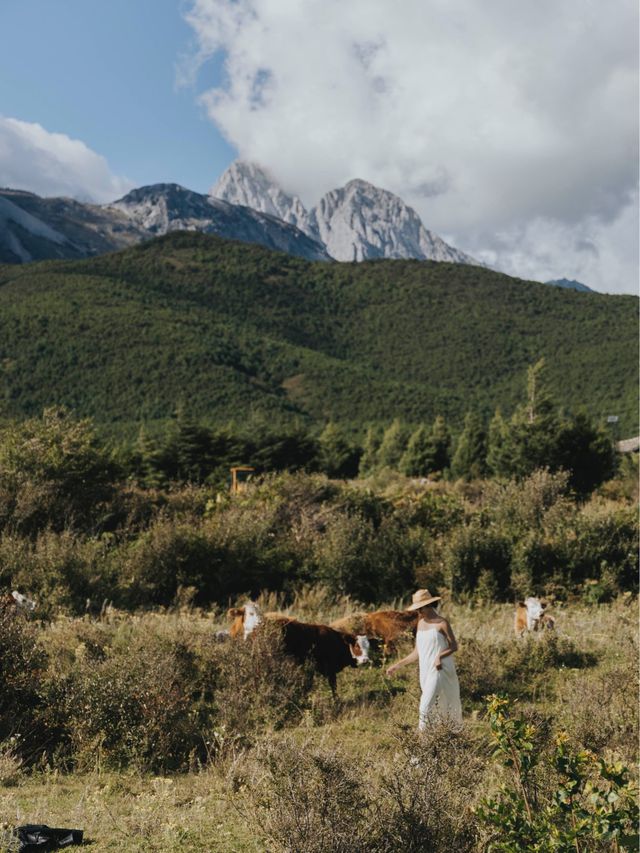 Wild adventure in Yuhu Village, Yunan