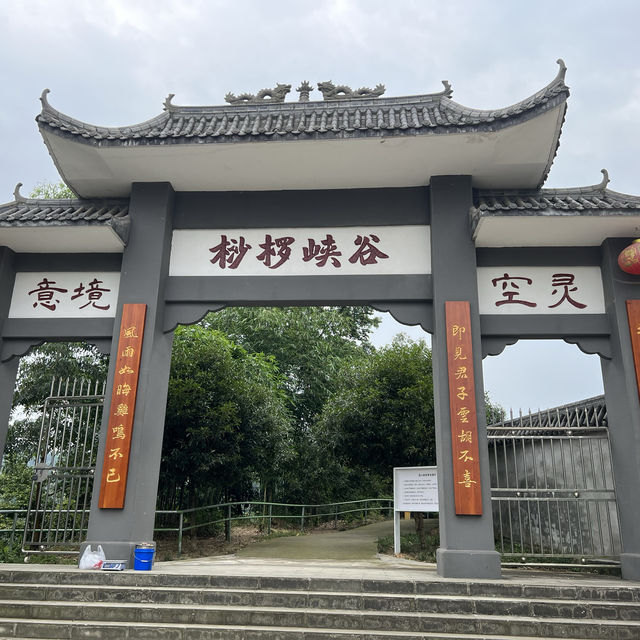 成都周邊桫欏峽谷：自然徒步