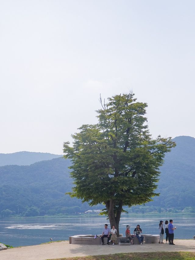 서울 근교 양평 당일치기 여행코스