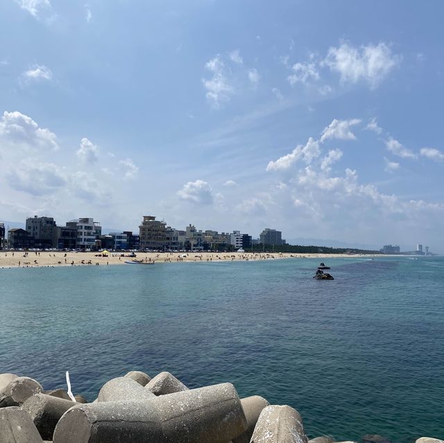 넓고 푸른 동해안의 자랑 강릉 안목해변🌊