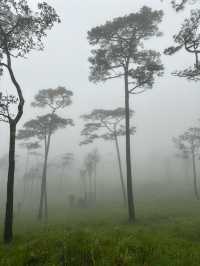 อุทยานแห่งชาติภูสอยดาว | Phu soi dao National Park