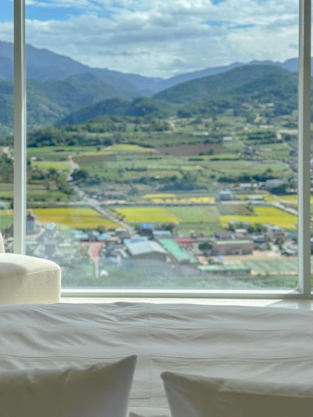 단양을 온통 한품에 품은 곳, 오늘의 우리 집🏠