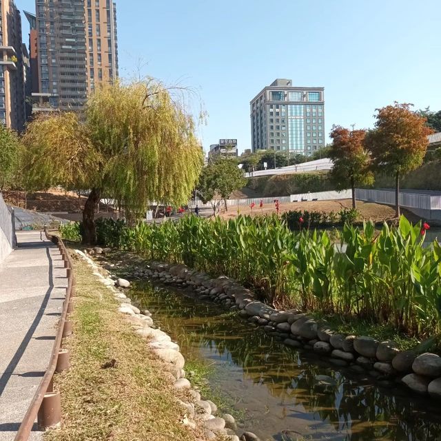 🍁🌳 秋紅谷景觀生態公園─大自然樂園 🍂🦋