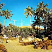 Patong Beach in Thailand 