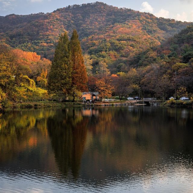 Beautiful Autumn View Of Buljanggol Reservoir