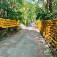 วัดป่าภูทับเบิก จ.เพชรบูรณ์