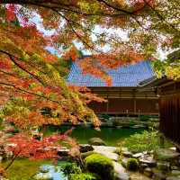 Hyakusaiji: Autumn Tranquility Unveiled