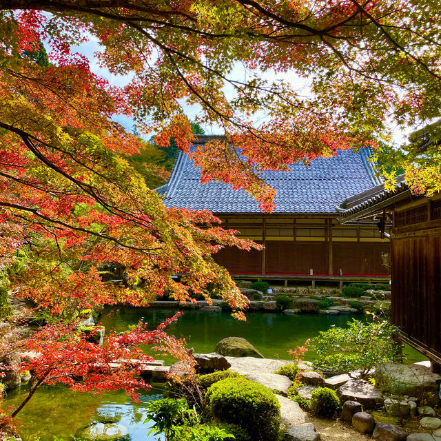 Hyakusaiji: Autumn Tranquility Unveiled
