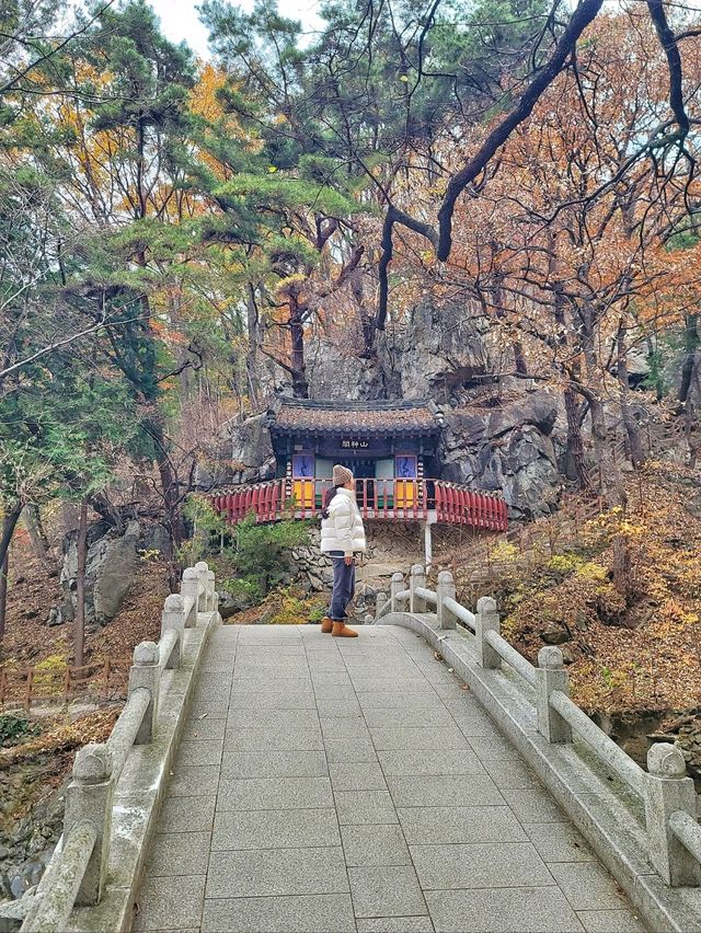 초겨울에도 분위기있는 아름다운 홍룡폭포✨️