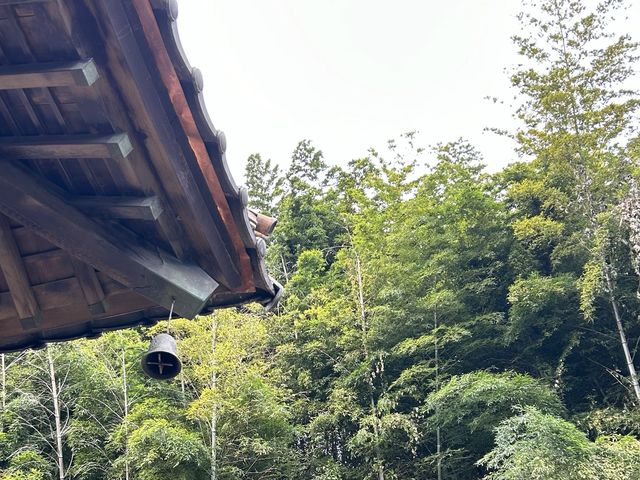 역사 속으로 떠나는 군산 뚜벅이 여행