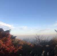 【紅葉高尾山】