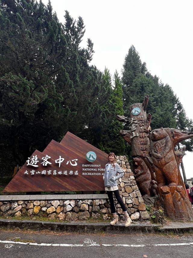 親近山林 感受大雪山的美好