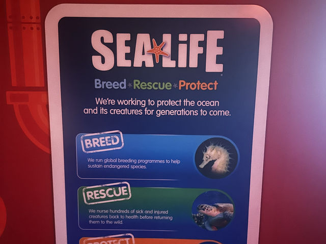 墨爾本水族館初體驗