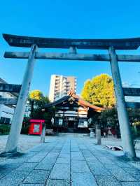 【名古屋】縁結びの木も！うさぎさんがかわいい三輪神社🐰⛩