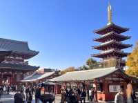 ขอพรปีใหม่วัดอาซากุสะ Tokyo