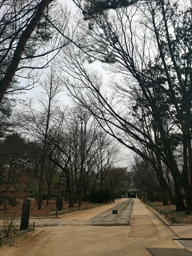 홀로 걷는 시간이 필요하다면, 종묘