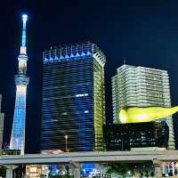 Tower for a lifetime! Sky tree