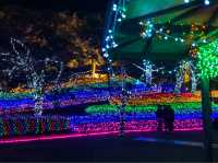 งานประดับไฟ Shinchi Park 新地公園