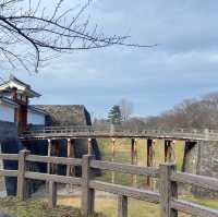 Yamagata City: Where Mountains Meet Legends!