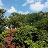 Butterfly Spotting at Hort Park SG