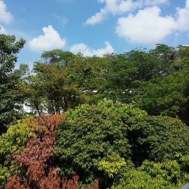 Butterfly Spotting at Hort Park SG