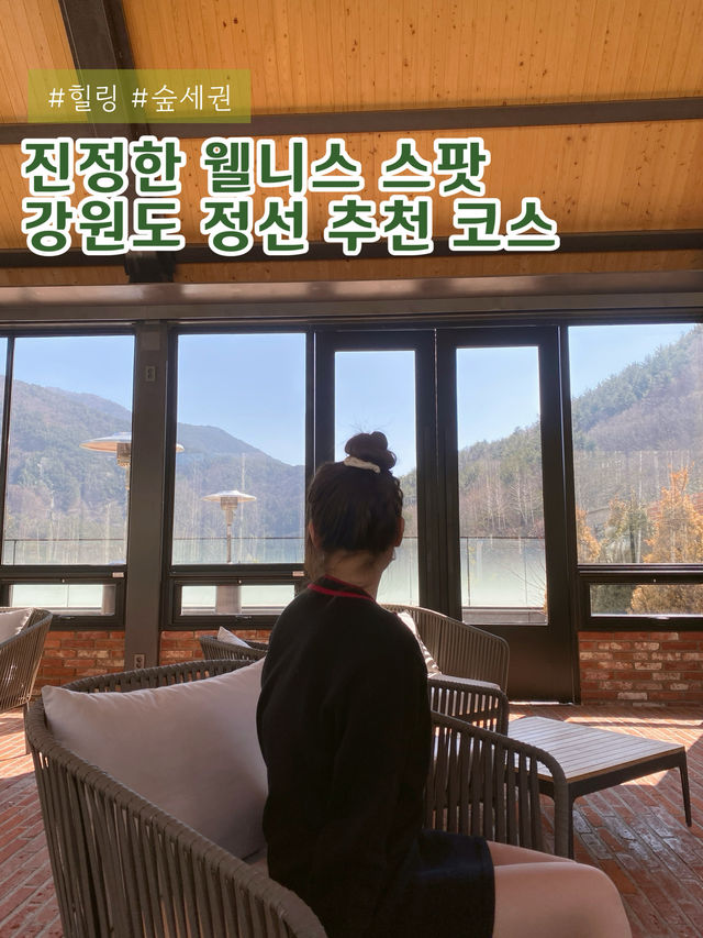 정선 숲세권과 함께 즐기는 진정한 웰니스 스팟☘️