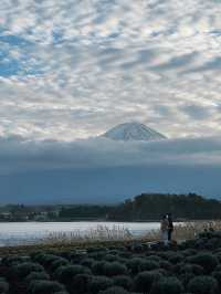 ชมวิวฟูจิซัง ริมทะเลสาบ 🗻