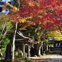 Not to be missed temple in Hakone