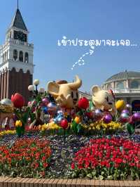 🇰🇷สวนสนุก Everland เกาหลีใต้ 🎡🎢 Korea trip