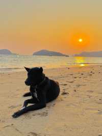 ไปออกเดท ทริป Valentine ♥️ ที่ By The Sea Koh Mak 