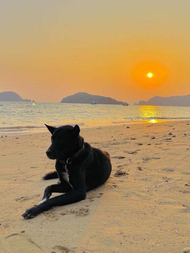 ไปออกเดท ทริป Valentine ♥️ ที่ By The Sea Koh Mak 
