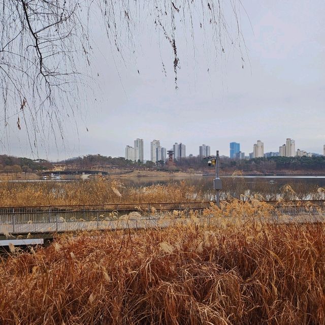 경기도에서 가장 큰 호수공원 <광교호수공원>❤️