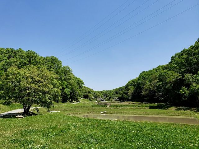 National Akashi-kaikyo Park Kobe Dist.