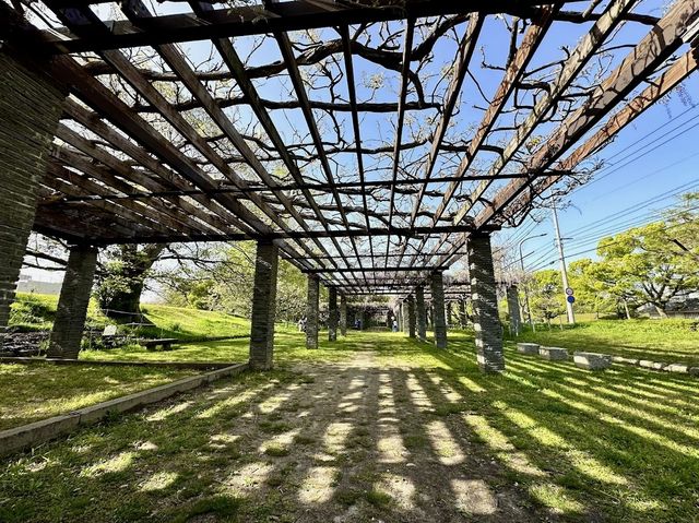 Maizuru Park