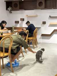 《Urban Cafe兆萬新店》