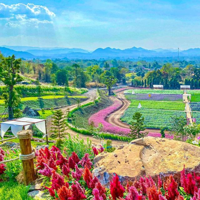 The Peak Flower Land คาเฟ่ใหม่เขาใหญ่