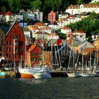 Discovering Bergen's Scenic Delights