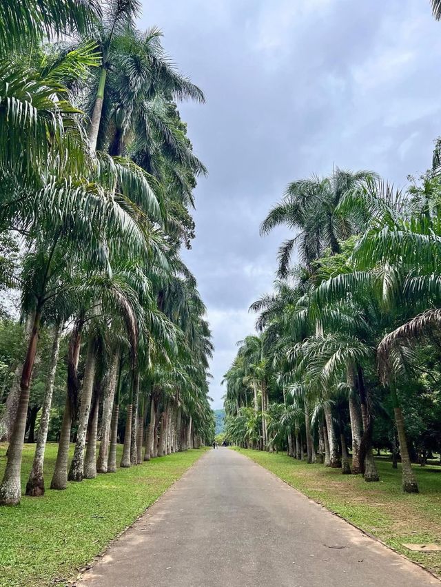 A wonderful time in Kandy, Sri Lanka😍🥰