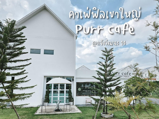 Purrcafebkk แจ้งวัฒนะ 14
