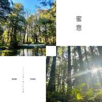 【臺北景點】陽明山國家公園：清新山區疲憊時放鬆