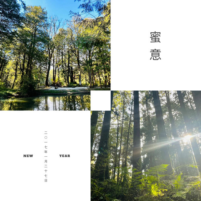 【臺北景點】陽明山國家公園：清新山區疲憊時放鬆