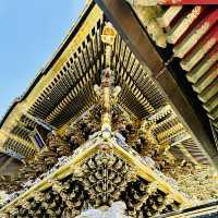 Exploring Nikko Toshogu shrine 🙏