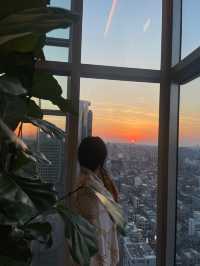 럭셔리의 끝판왕 5성급 호텔! ✨조선팰리스 서울 강남