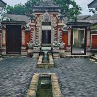 绝对完美的家庭旅行！
