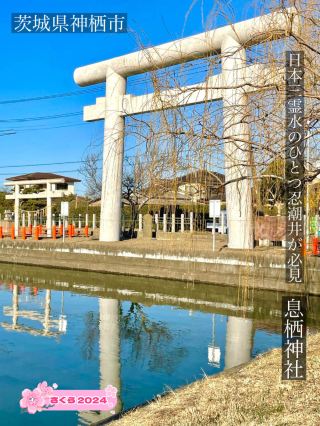 [Ikisu Shrine/Ibaraki Prefecture] Don't miss Shinobu-choi, one of Japan's three sacred springs