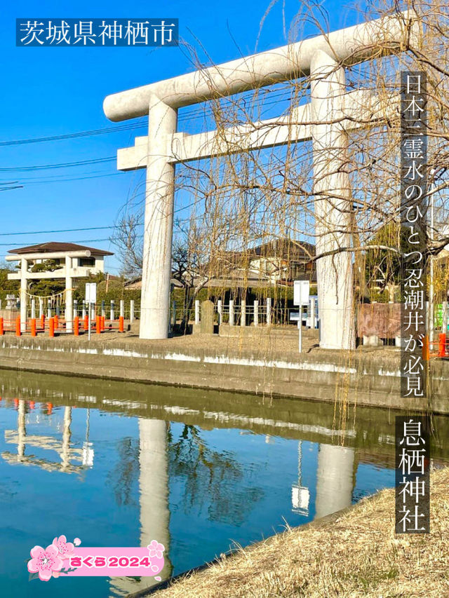 【息栖神社/茨城県】日本三霊水のひとつ忍潮井が必見