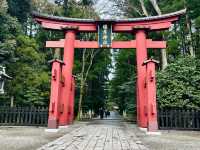 Yahiko shrine 🙏